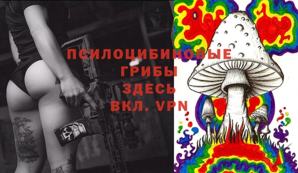 прущая мука Пестово