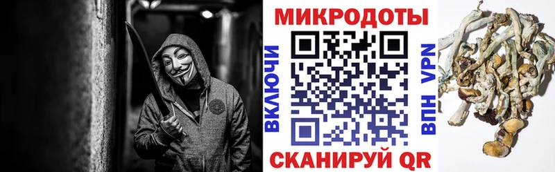 Галлюциногенные грибы Psilocybine cubensis  хочу   Камышин 