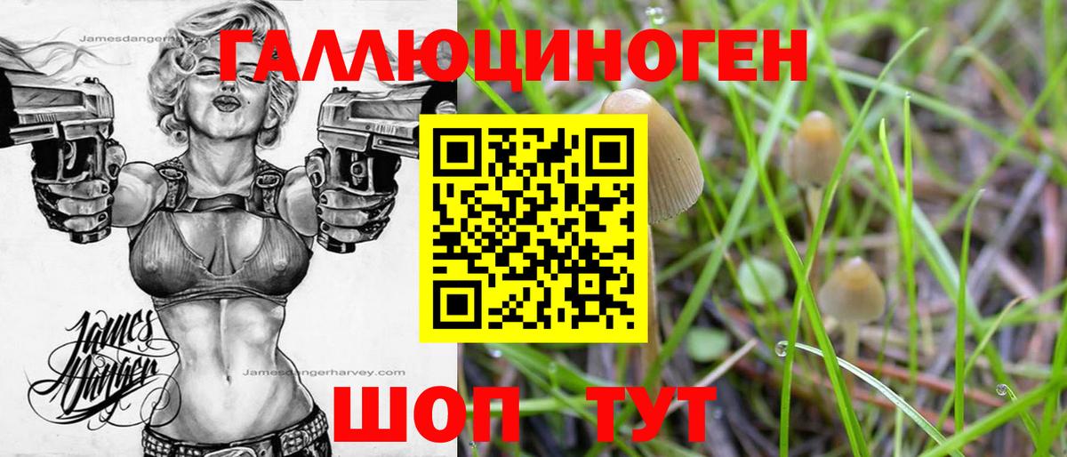 Галлюциногенные грибы GOLDEN TEACHER  даркнет сайт  Камышин 