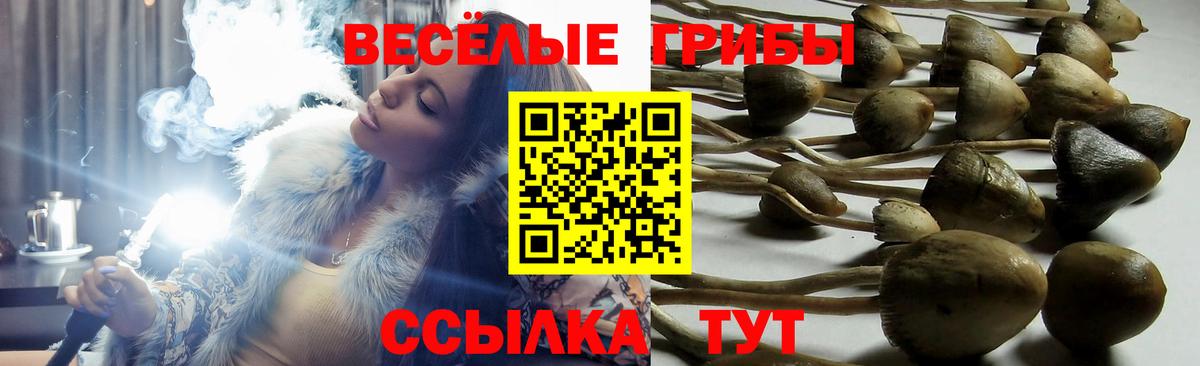 Галлюциногенные грибы GOLDEN TEACHER Камышин