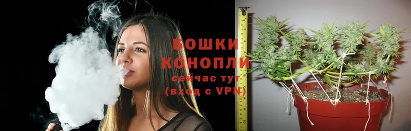 Марихуана SATIVA & INDICA  blacksprut маркетплейс  Камышин 