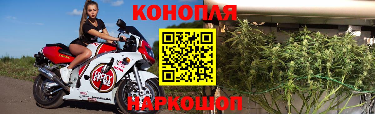 Камышин  МАРИХУАНА AK-47  Бошки марихуана THC 21%  МАРИХУАНА LSD WEED  Конопля сатива  Вход с VPN 